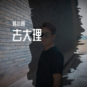 去大理