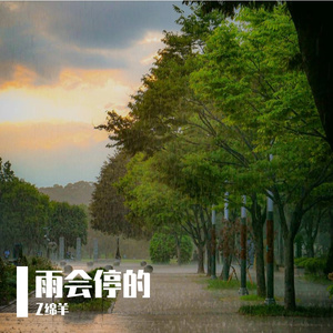 雨会停的