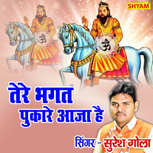 Tere Bhagat Pukare Aaja Hai
