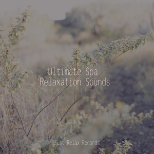 Golden Flames in Harmony