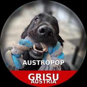 Eiszeit Im Herzen (Und Am Gehsteig)