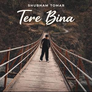 Tere Bina