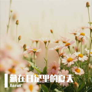 藏在日记里的夏天