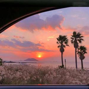 有情人终成眷属