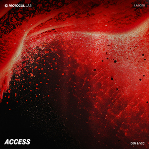 Access (Extended Mix)