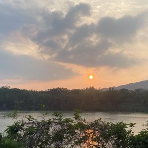 偏爱（指弹版）