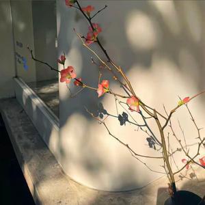 某年某月某个你