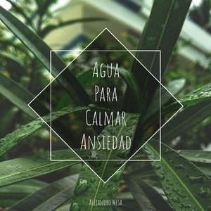 Agua para Calmar Ansiedad