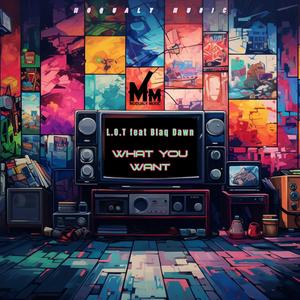 What You Want (feat. Blaq Dawn)