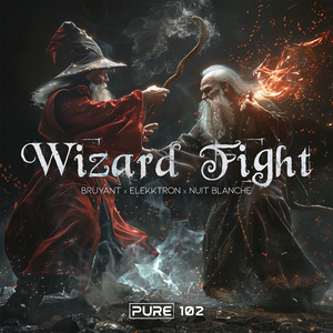 Wizard FIght