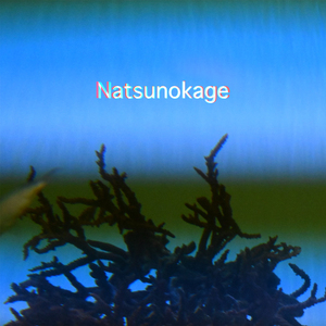 Natsunokage