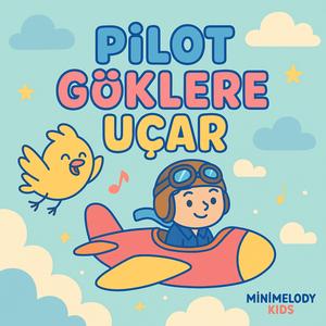 Pilot Göklere Uçar