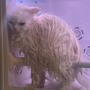 关于我写了很久的歌突然一夜写完了的这件事prod.lucien