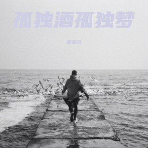 孤独酒孤独梦