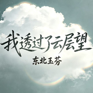我透过了云层望