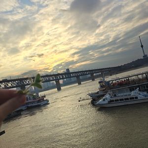 月光洒在青石上