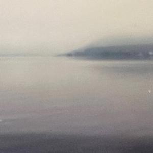 I Couldn't Stop Falling