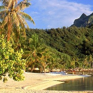 远去的背影 (20)