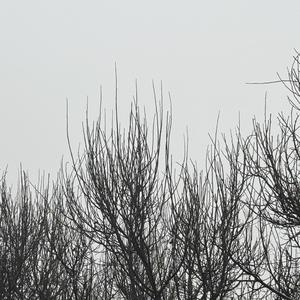 八神純子-みずいろの雨（Night Tempo Showa Groove Mix)（Clearose remix）