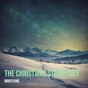 The Christmas Starry Sky