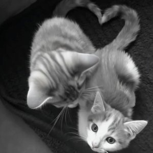 《熟練交際手段》