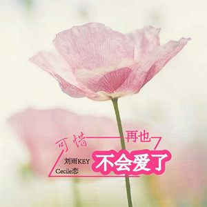 可惜再也不会爱了