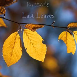 Last Leaves