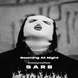 Roaming At Night