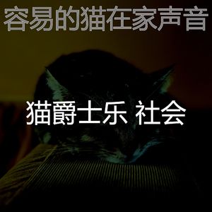 微妙的小猫心情