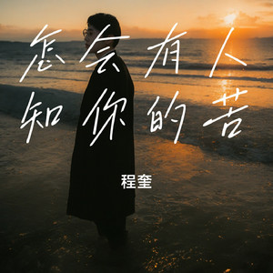 怎会有人知你的苦