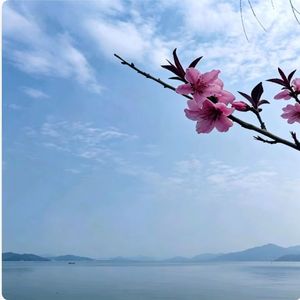 春已辞