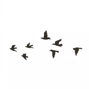 择日疯（翻自 钟嘉欣）