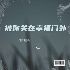 被你关在幸福门外