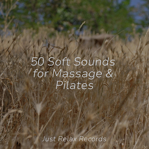 Echoes of Glass and Gusts