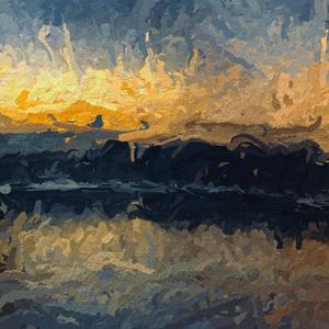 Driftwood（浮木）