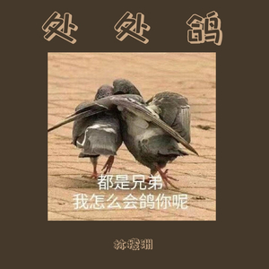 处处鸽（高冷少年）