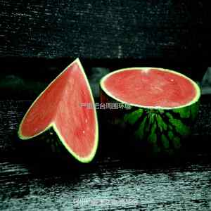 柔和的和朋友出去玩时刻