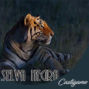 Castigame