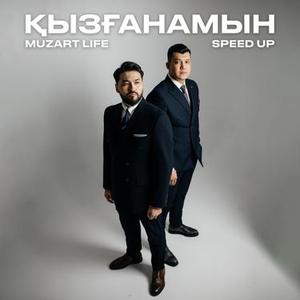 Қызғанамын