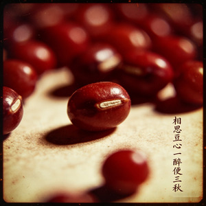 相思豆心一醉便三秋