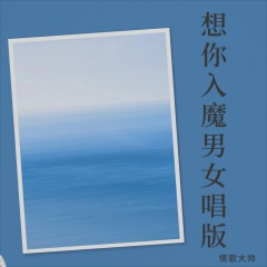 想你入魔 (情歌大帅|甜歌韩雅君 remix)