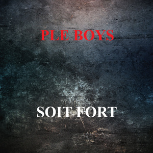SOIT FORT