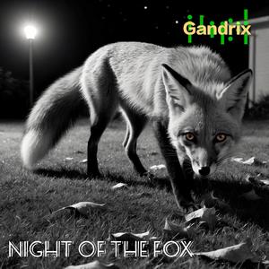 Night of the Fox
