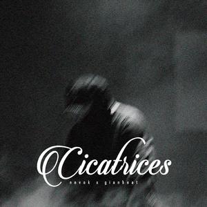 Cicatrices