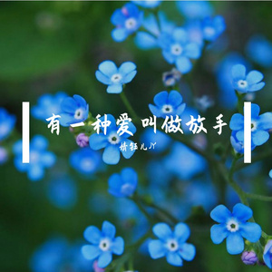 有一种爱叫做放手