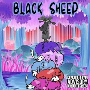 Black Sheep