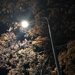 《爱之无奈》赵鑫