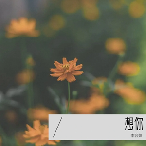 想你 (伴奏)