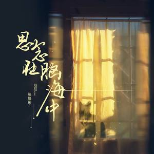 思念在脑海中 (伴奏)