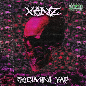 SECIMINI YAP
